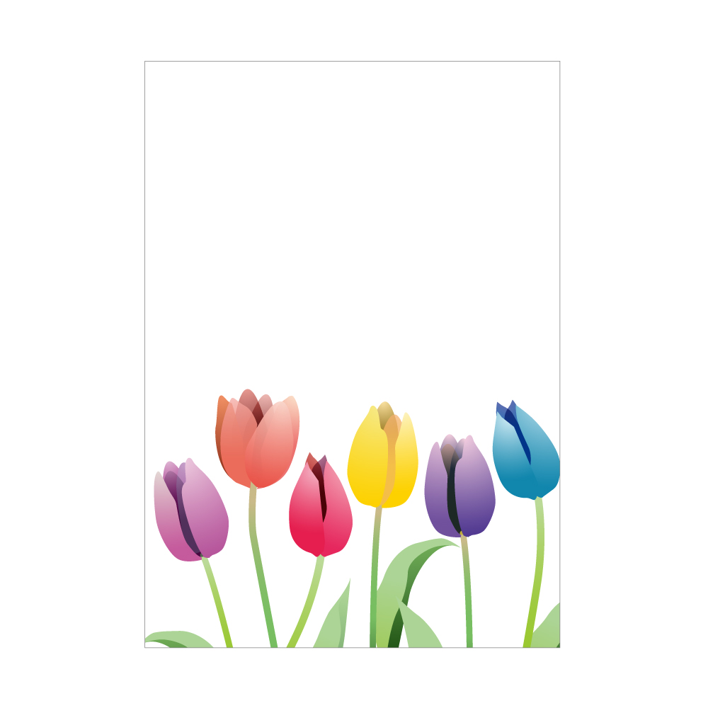 季節の花ポストカード Spring Colors Plus Orange